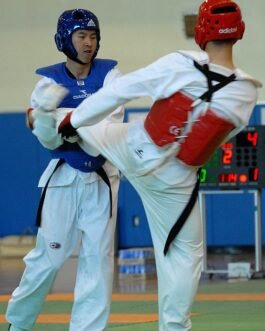Martial Arts